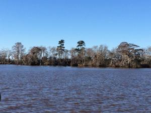 Beautful day and a beautiful area to cruise