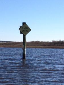 Jan 21 12:00 We'd have to speed up to comply. I think crawl is slower than slow. — feeling amused with Kevin P. Sullivan at Sunset Beach, NC. 